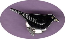 RSPB PIN BADGES - Want the