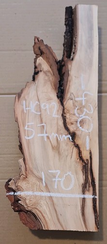 Spalted chestnut slab - chestnut,