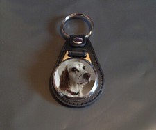 English Setter - Faux Leather