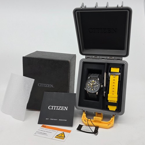 Citizen solar promaster - citizen,