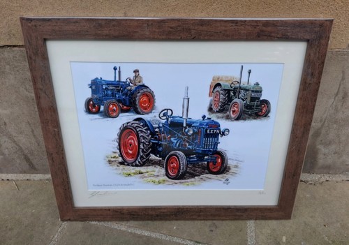 Framed picture print - framed,
