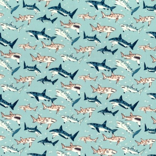 Rose and hubble shark animal - rose,