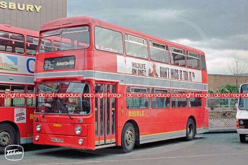 Bus photo ribble - photo,