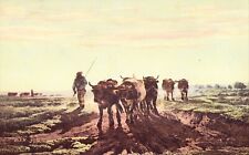 Vintage Art Postcard 1910 "Boeufs se rendant " Musee de Louvre *Worldwide ship*