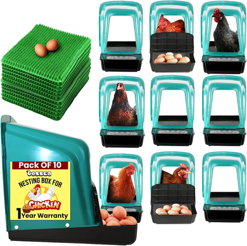 Nesting boxes for chicken - for, coop