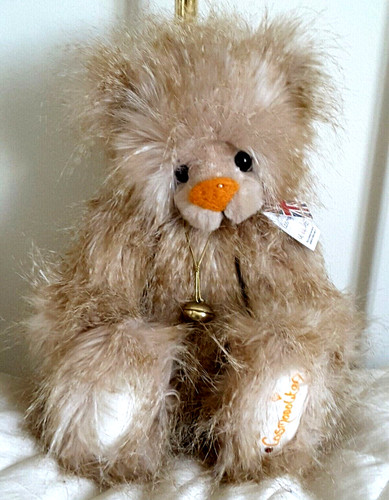Kaycee bears cosmopolitan - kaycee,