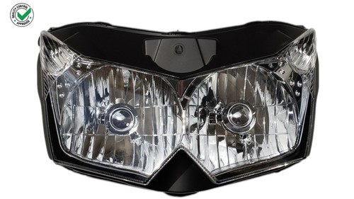 Headlight group front - group,