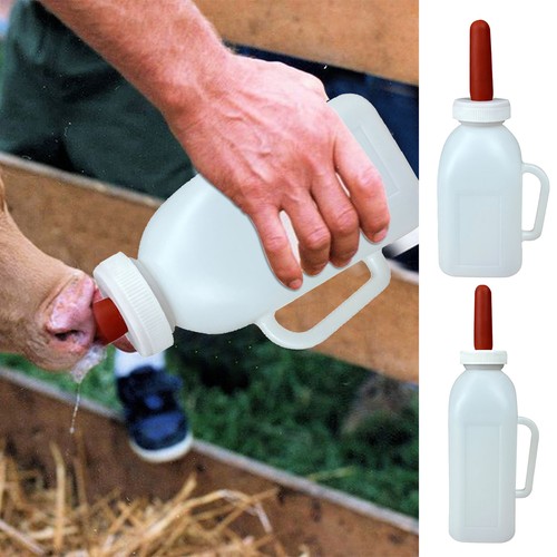 Baby goat feeding bottle lamb - goat,