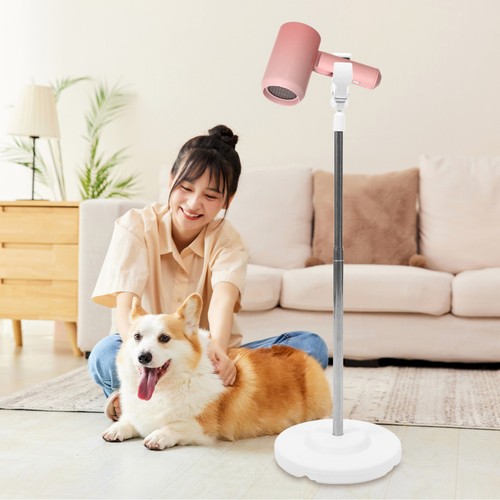 Dog pet hair - pet, stand