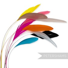 Loose Stripped Coque Feathers