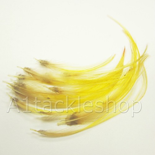Veniard golden pheasant - veniard,