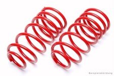 TA Technix Lowering Springs