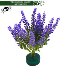 Tarantula Mantis, jumping