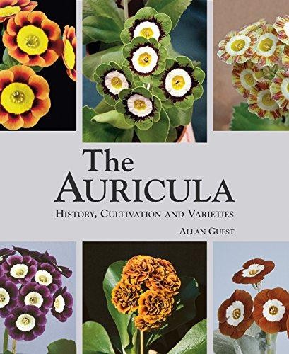 The auricula history - the,