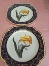 2 Spode Cupboard Plates