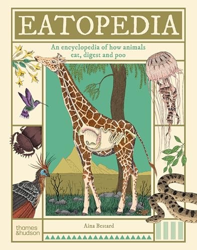 Aina bestard eatopedia - bestard,