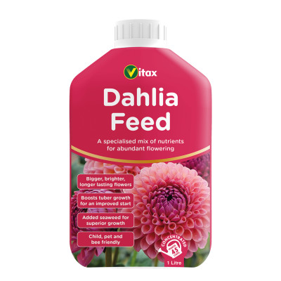 Vitax dahlia plant - dahlia,