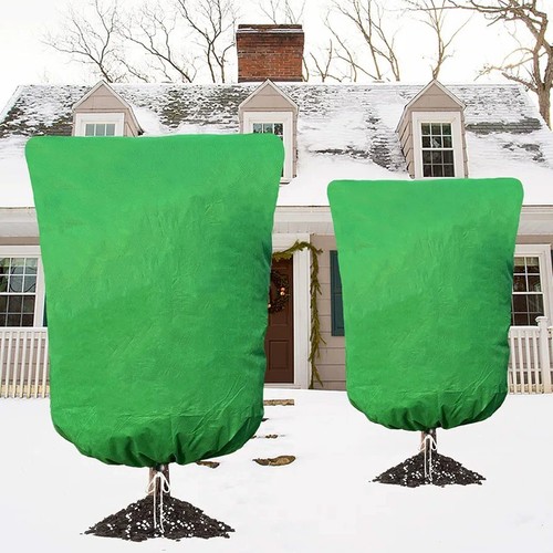 Frost plant protection - frost,
