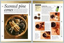 Scented Pine Cones - Home - Secret World Of Herbs Fact File Card