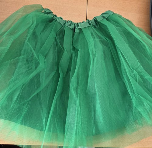 Nwt green adults tutu skirt - nwt,