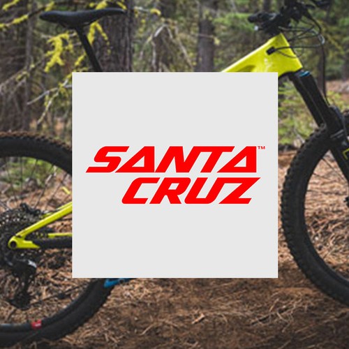 Santa cruz frame bearing - cruz,