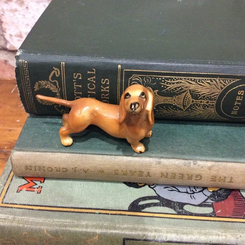 Vintage miniature dachshund - miniature,