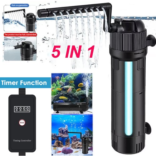 Aquarium fish tank - aquarium,