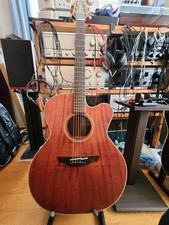 Takamine NPT-010 (custom all