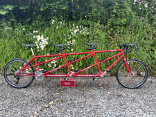 Fantastic,Rare Thorn Trident