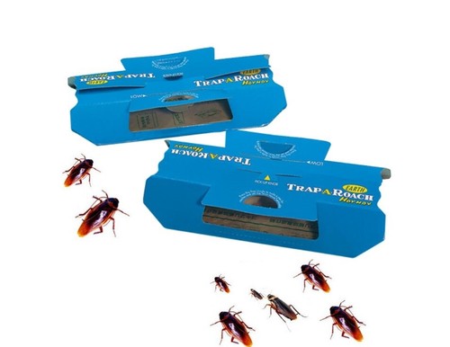 Cockroach traps glue trap - glue,