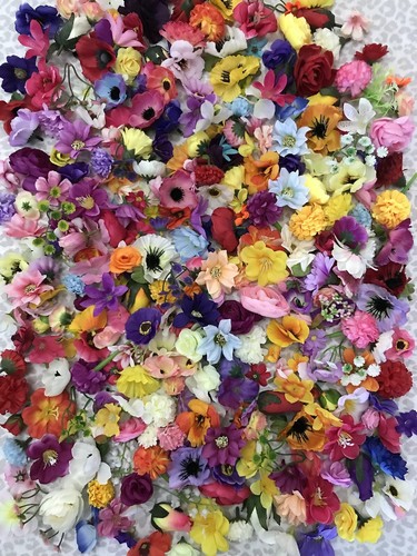 50x small flower heads - flower,