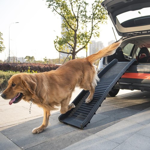 Large heavy duty pet - large, ramp
