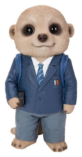 Schoolboy baby meerkat - schoolboy,