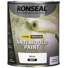 Ronseal 6 Year Anti Mould