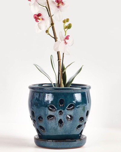 Vensovo ceramic orchid - vensovo,