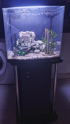 Fish tank with stand - tank,
