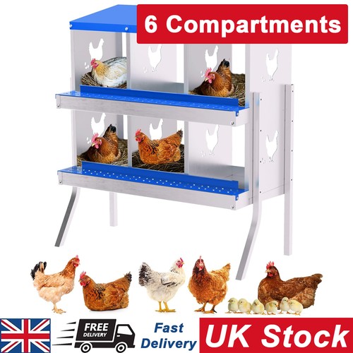 Chickens nesting boxes - chickens,