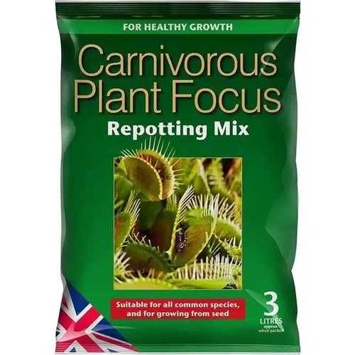 Carnivorous plant focus - carnivorous,