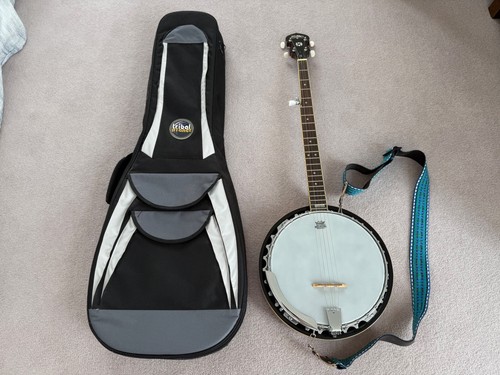 Washburn americana series - washburn,
