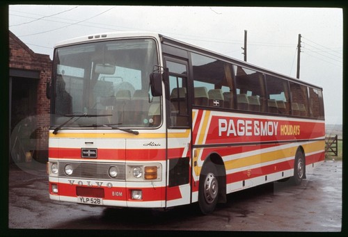 Copy coach slide scarlet - slide,