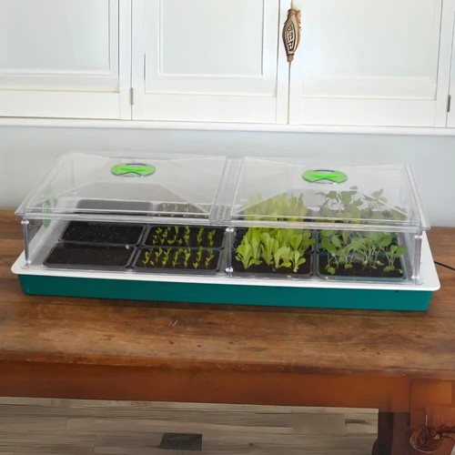 Vitopod heated propagator - propagator,