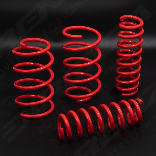Direnza suspension lowering - suspension,