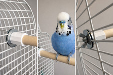 Screw Fit Wooden Bird Perches