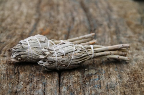 White sage smudge sticks - sage,
