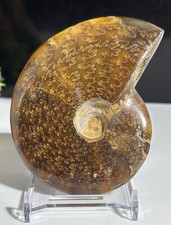9cm, 160g AA Specimen