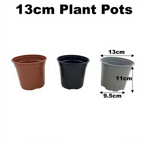 13cm plant pots - 13cm,