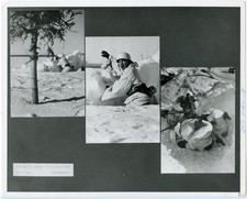 WWII German Army Propaganda