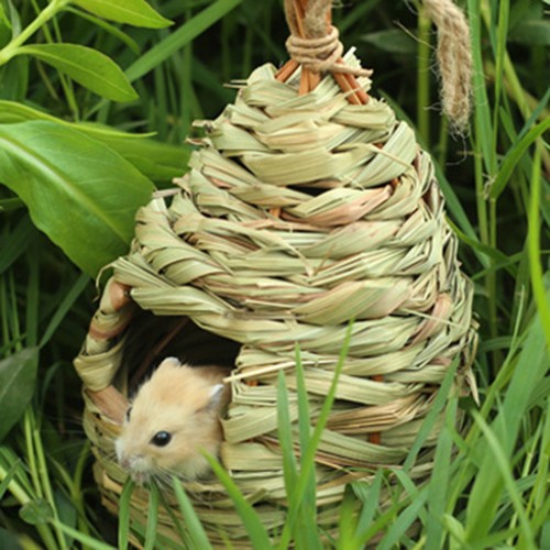Handwoven straw bird - bird, cage