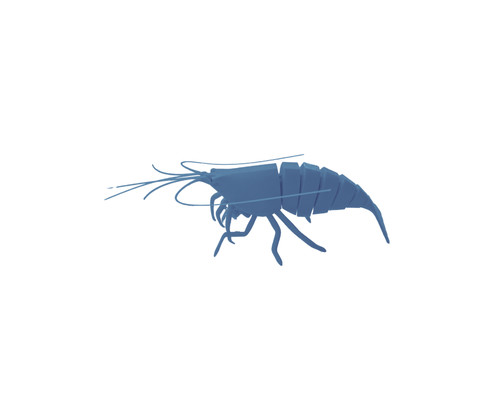 Articulated desk shrimp - articulated,,