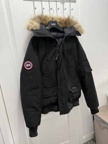 Canada goose chilliwack - chilliwack,